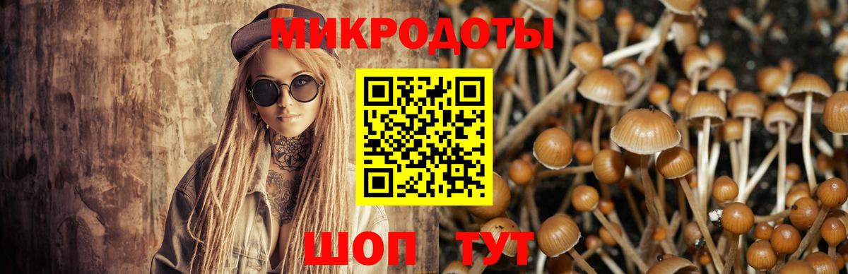 Галлюциногенные грибы Magic Shrooms  Вход с VPN  Полысаево  Галлюциногенные грибы Cubensis 